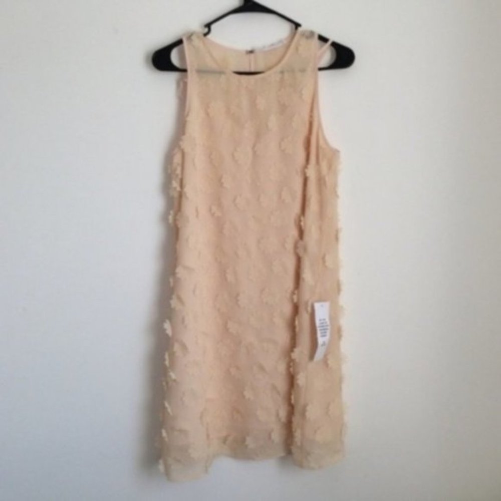 BGBGeneration Sleeveless Floral Chiffon Sheath Dress
